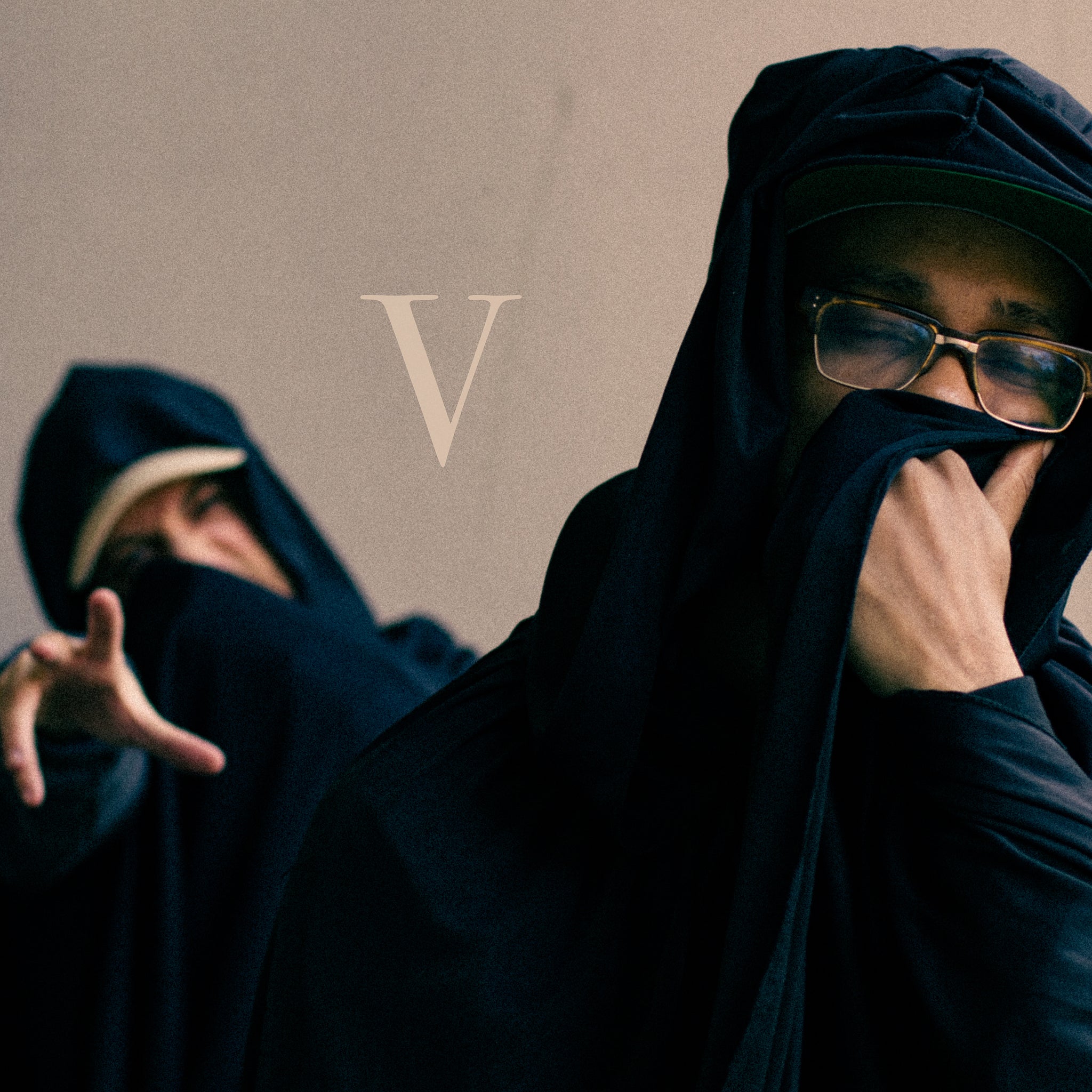 Beats for Brothels, Vol. 5 (Digital Album)